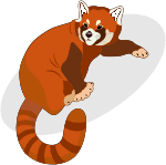 Red Panda School Workshops UK