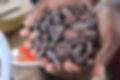 Chocolate Tour Belize