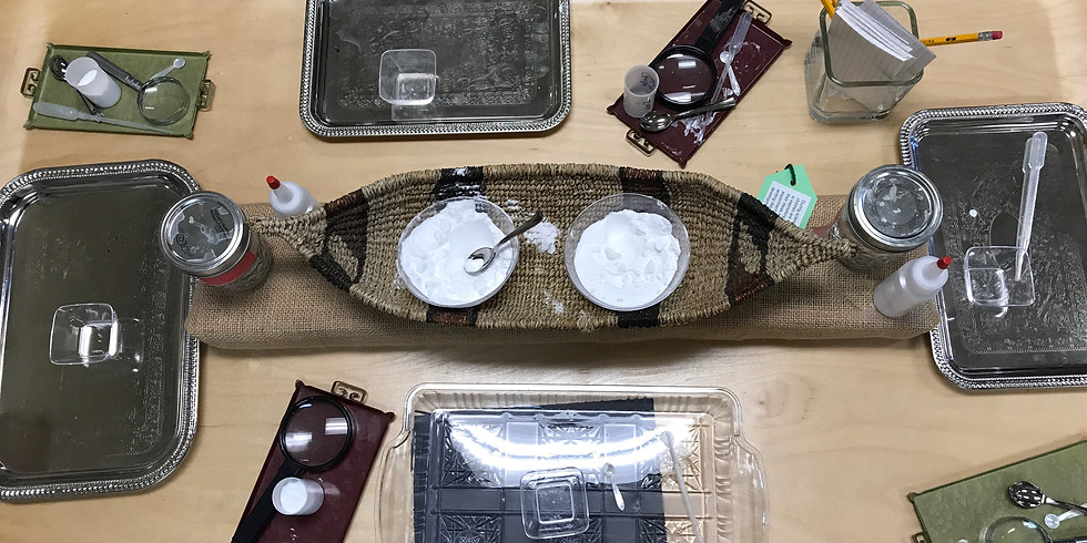 Invitations, Provocations, Activities...OH MY!