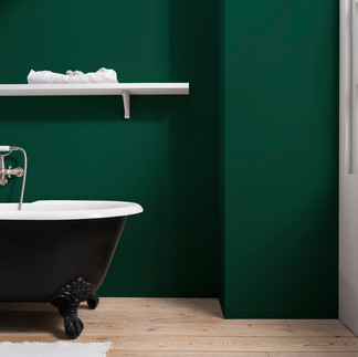 Dulux Paint Mixing Easycare Bathroom Soft Sheen - Highland Green