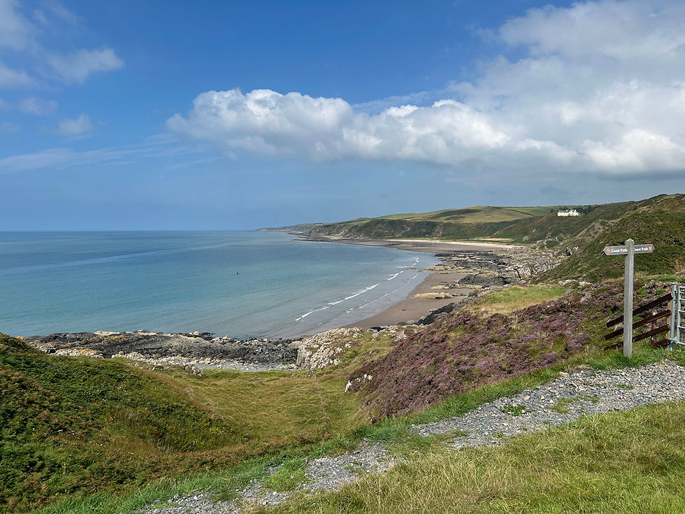 Sustainability at Five Little Piggies