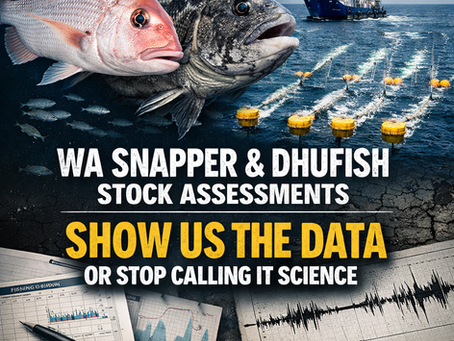 Graphic showing Western Australian snapper and dhufish underwater alongside an offshore seismic survey vessel towing airgun arrays, with overlaid text reading “WA Snapper & Dhufish Stock Assessments – Show Us the Data or Stop Calling It Science,” symbolising missing fisheries data and industrial activity in the same regions.