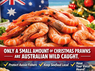 Australian wild caught prawns displayed for Christmas with text highlighting that only a small portion of Christmas prawns are locally caught and promoting Seafood Society Australia membership.