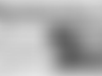 BUGGER FEEDING THE NATION