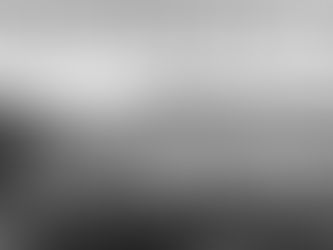 THE 113-DAY LOCKOUT - GIVE AN INCH, TAKE A MILE