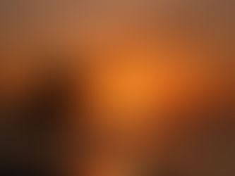 Cast net being used in NSW waters.