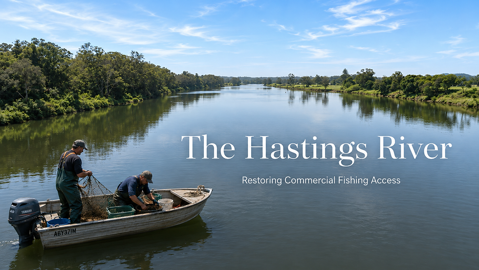 Commercial fishers working from a small boat on the Hastings River, representing the case for restoring commercial fishing access.