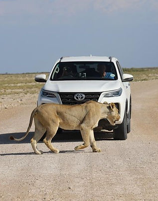 Private Luxury Safari