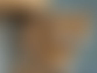 Why Is My Cat Yowling? 5 Common Reasons