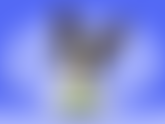 dog looking at a plate of brussels sprouts