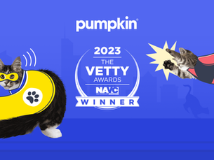 purple background with two cats dressed up in red and yellow super hero costumes. white text reads "pumpkin, 2023, the VETTY awards winner"