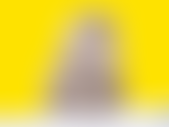 The Most Lovable Fluffy Cat Breeds (Spoiler: They're All Equally Lovable)