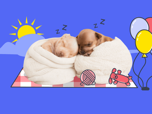 two puppies sleeping in a pile of blankets