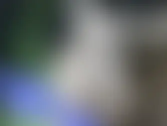 grey cat with green eyes looking out with grass in background and a Pumpkin Care badge that reads "covered by a Pumpkin Plan"