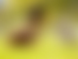 toddler playing with a puppy in the grass