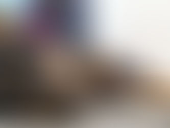 dog laying on the ground with a person behind them