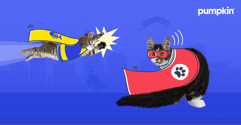 4 Tips to Keep Your Cat Healthy Like Marvel Studios’ The Marvels Stars, Tango and Nemo