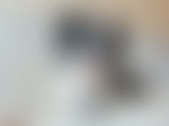dog laying on couch with a ball in front of them