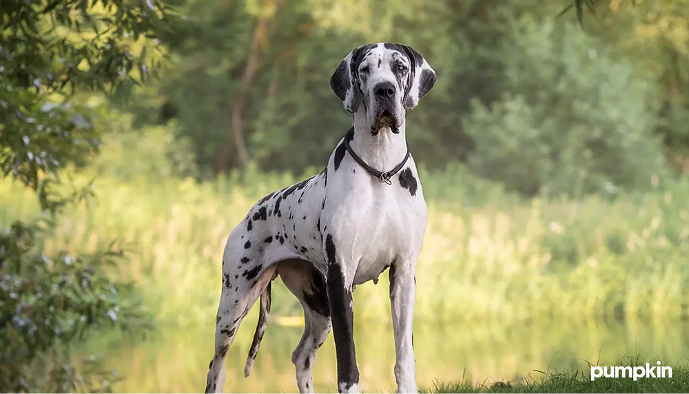 be6988_efaaccc25f8d412fada427e