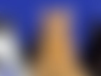 three cats on an indigo background