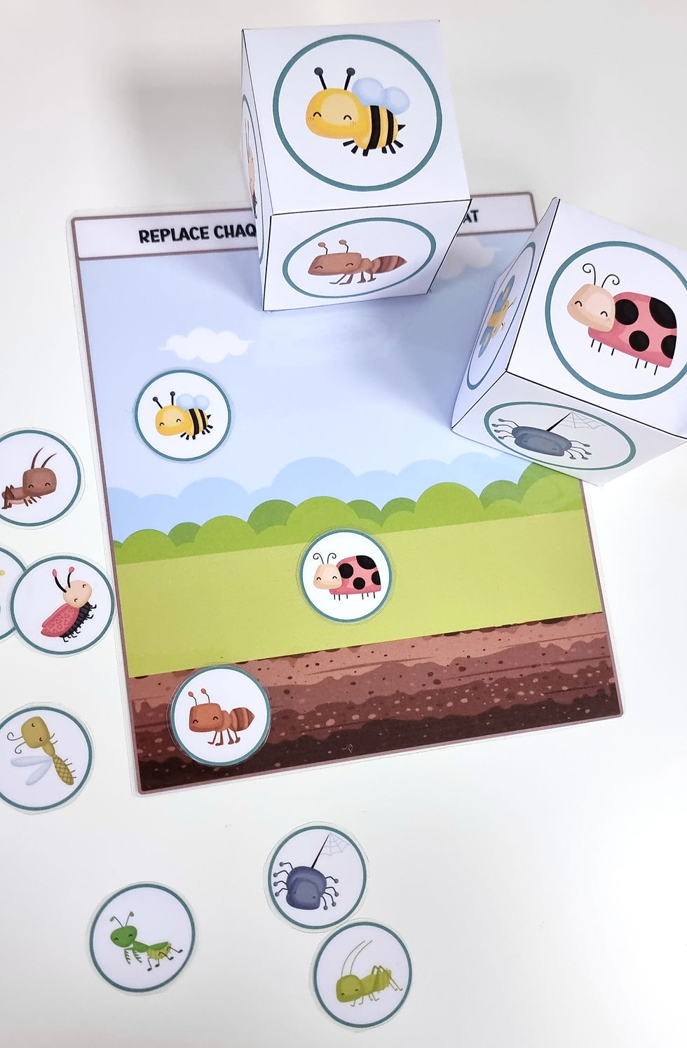 Miniature : À la découverte des insectes - ⚠️ FICHIER NUMÉRIQUE