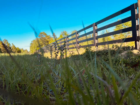 Paint Fence