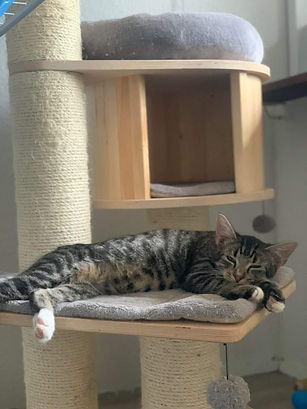 146442278_10221379996803798_731108378147