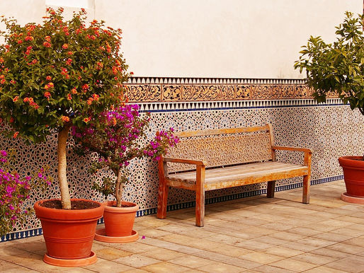 Kübelpflanzen im Winterquartier (Januar)