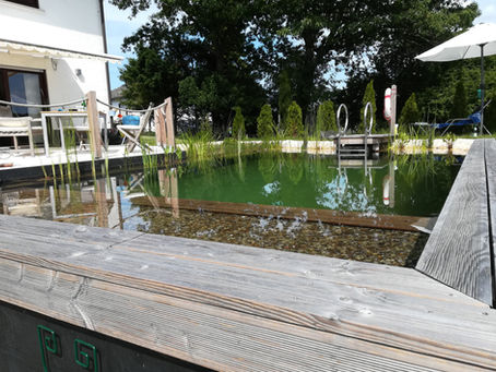 Tauchen Sie jetzt in Ihren Schwimmteich ein! Werner Gartengestaltung realisiert ihre Träume