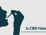 Is CBD Halal hanafi oder ist CBD Haram?  