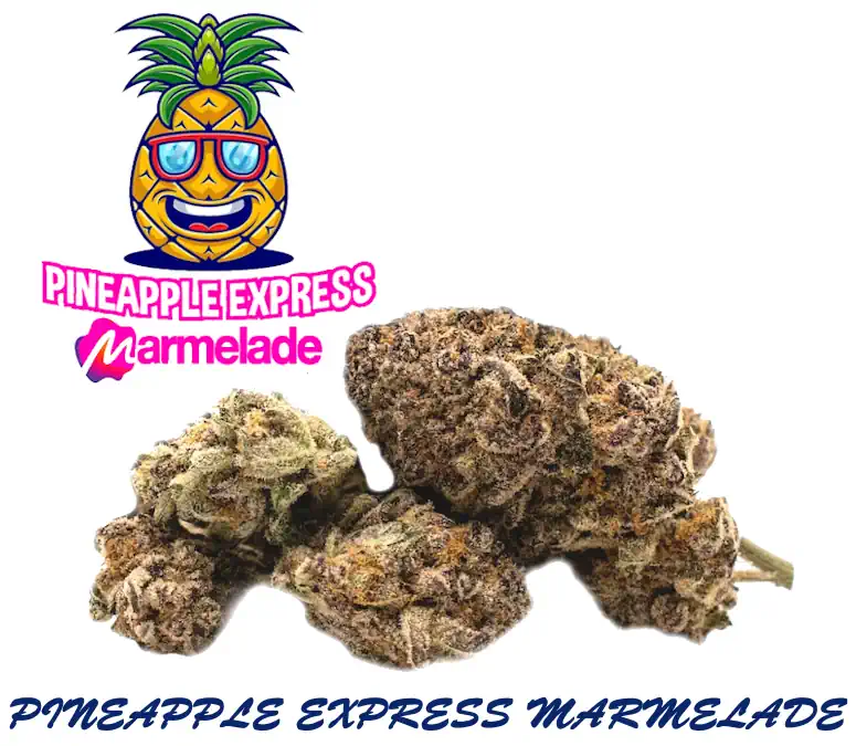 THCP Strain