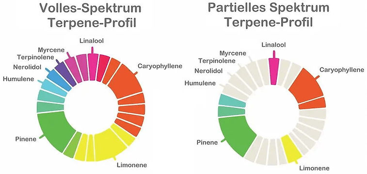 Vollspektrum CBD aus der Schweiz