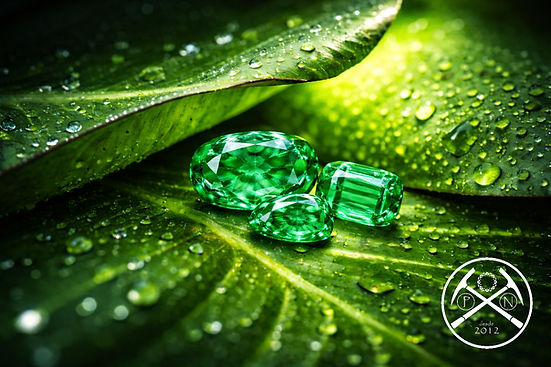 Esmeralda na folhagem PN.jpg