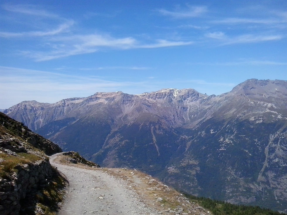 2014-08-24 13.20.40.jpg
