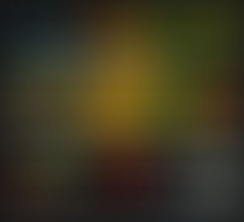 Jenis Ikan Hias Air Tawar