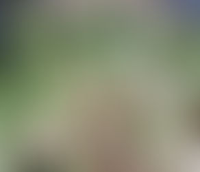 Manfaat Tanaman Sereh Untuk Kesehatan