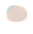 logo vide.png