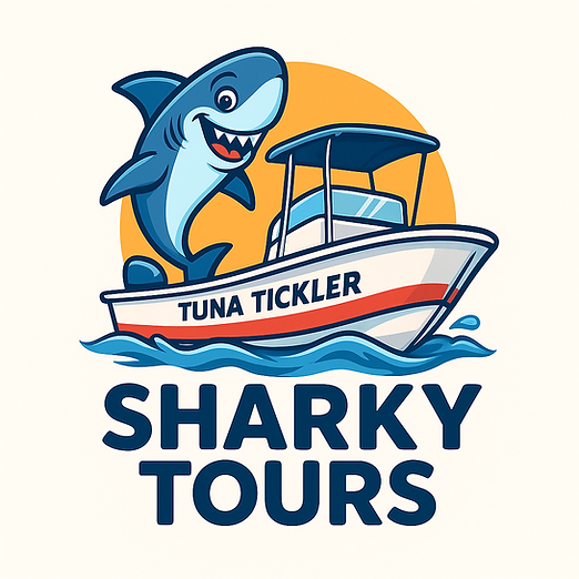Sharky Tours Fishing, Beach, and Sunset Tours