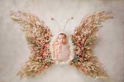 B Newborn-37.jpg