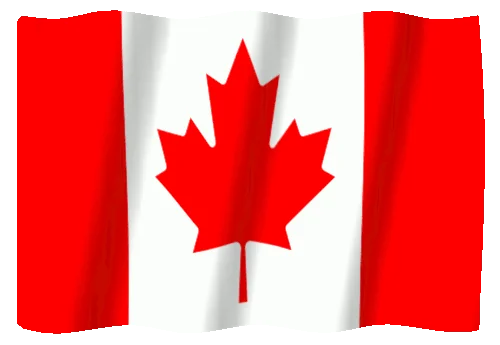 20-19-38-788_512.webp