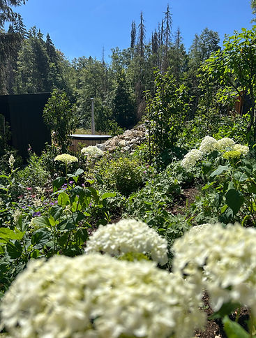 Bain nordique intégré dans un jardin paysager au Domaine des Frênes dans le Jura