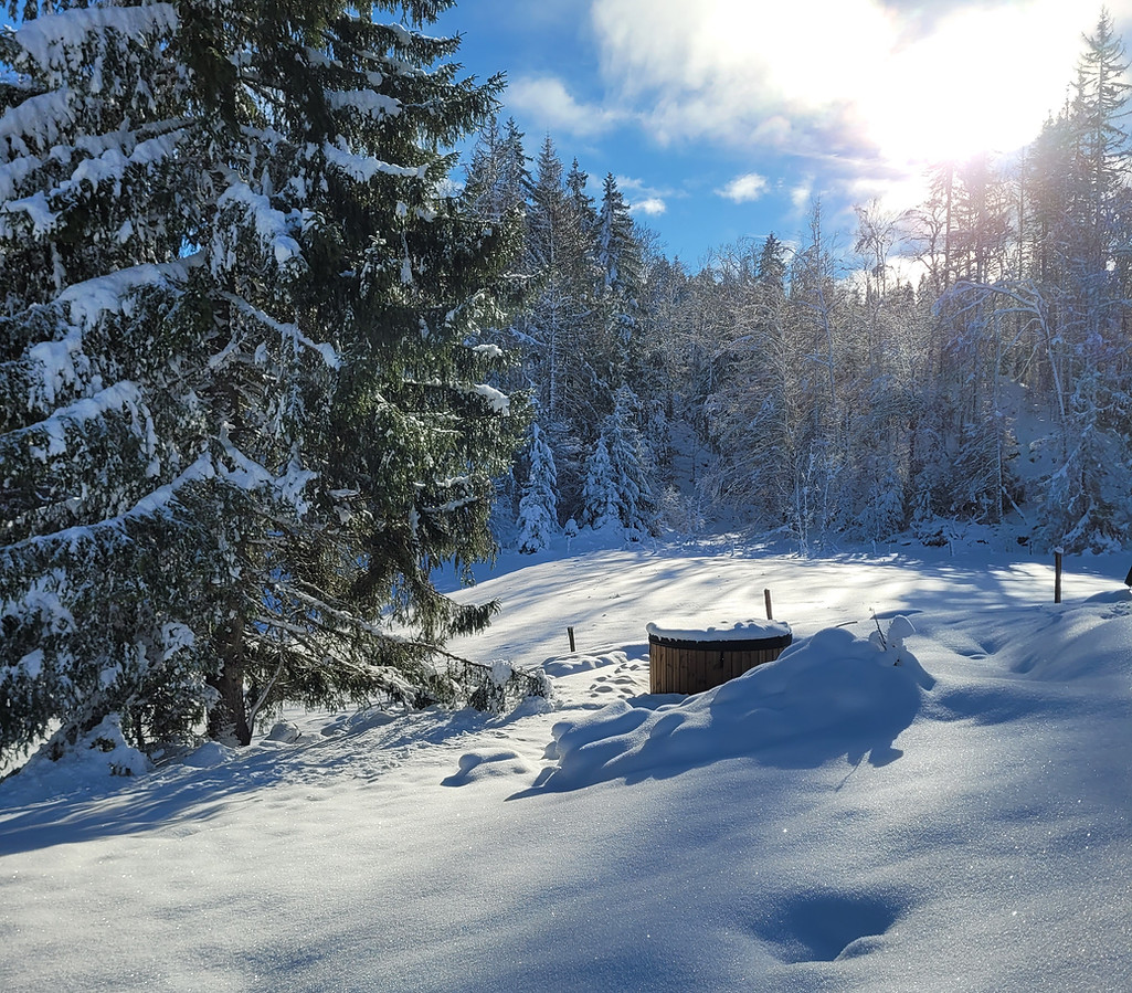 Bain nordique privatif au cœur d'un paysage enneigé dans le Jura en hiver
