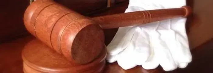 wood+gavel+gloves.webp