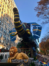 IMG_6739.jpeg