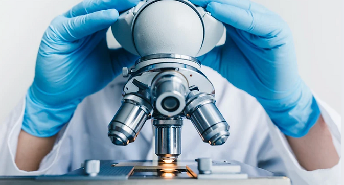 Screenshot 2024-12-10 at 11.09.41 AM.png