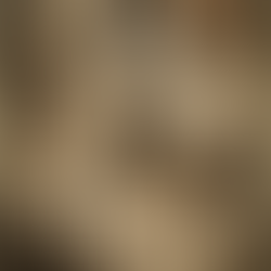 Inside Mirror in the Woods #11: “The Moment She Chose Her Own Voice”