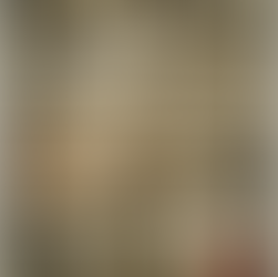 Inside Mirror in the Woods #18: “Blanco Rojo: From Dreams to Canvas”