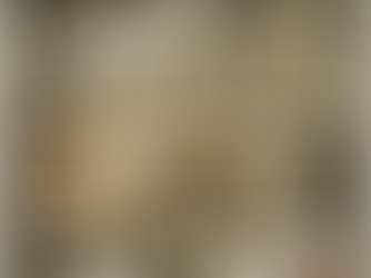 Inside Mirror in the Woods #18: “Blanco Rojo: From Dreams to Canvas” 