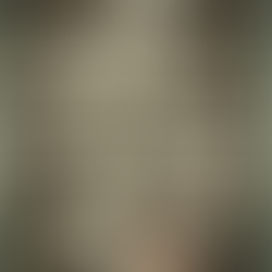 Inside Mirror in the Woods #15: “After the Applause” 