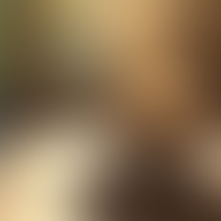 The Cultural and Health Benefits of Mindful Tea Practices